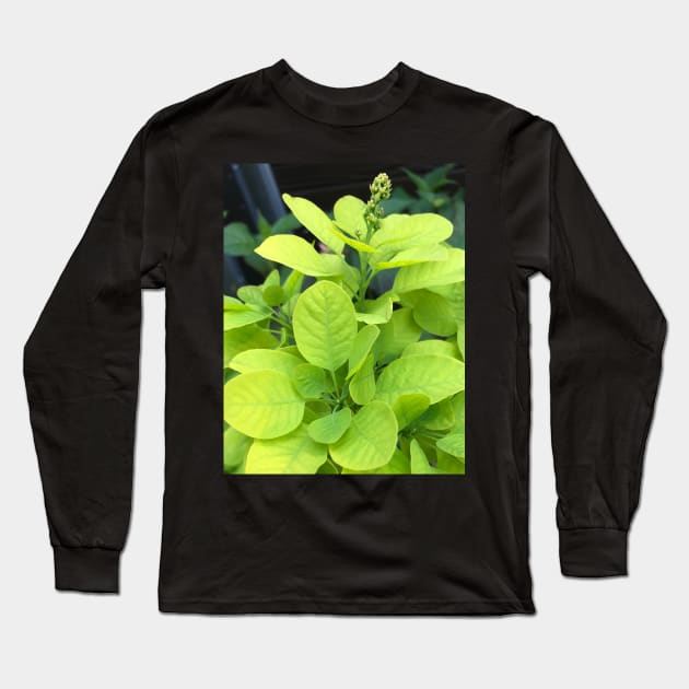Forest Bathing with the Green Leaves of Our Beautiful Planet Long Sleeve T-Shirt by Photomersion